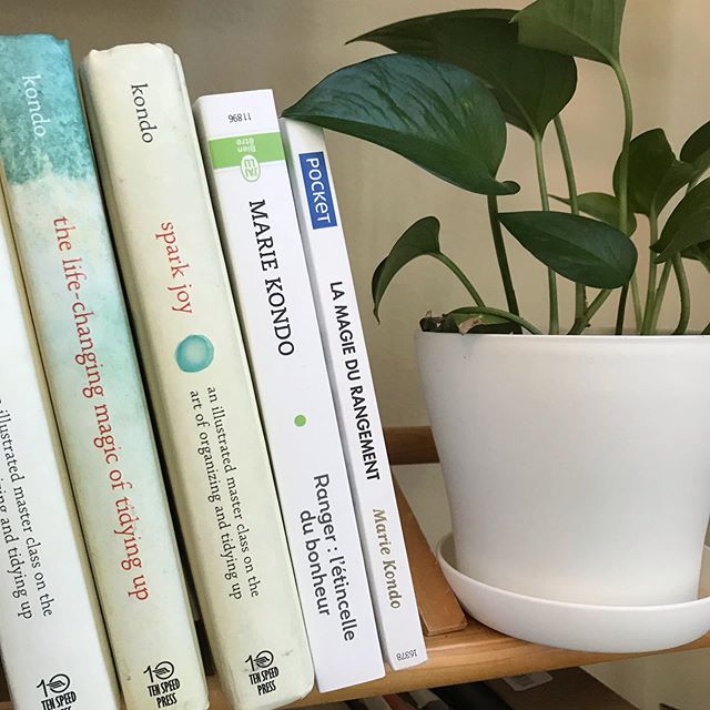 Close up of bookshelf with plant in white plastic pot and several Marie Kondo books lined up