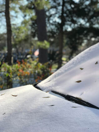 Snow covering the hood and windshield of a car is shown in the foreground all in white with a few trees and pushes out of focus in the background covered with ice and snow.  